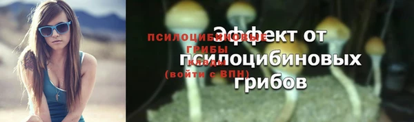шишки Алзамай