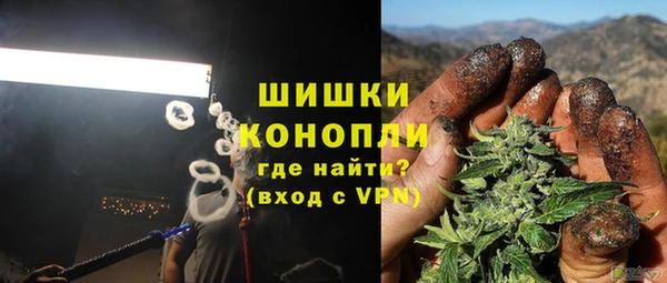 шишки Алзамай