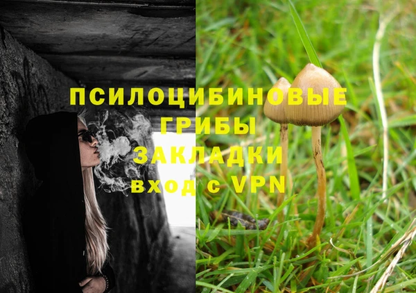 амфетамин Алексин