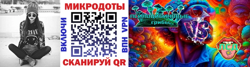 дарнет шоп  Спасск  Галлюциногенные грибы Cubensis 